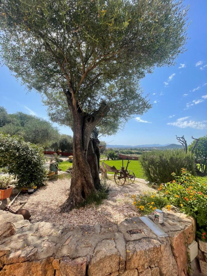 Azienda Agrituristica Contras *